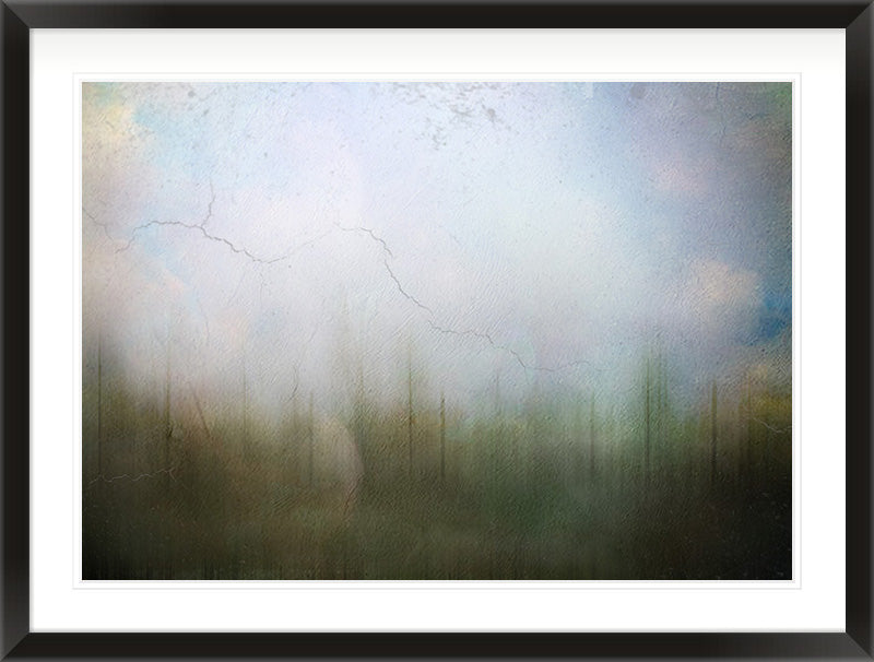 What Remains of Spring