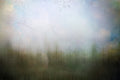 What Remains of Spring