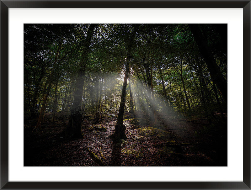 The Clearing Light — Wye Valley