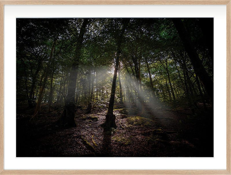 The Clearing Light — Wye Valley