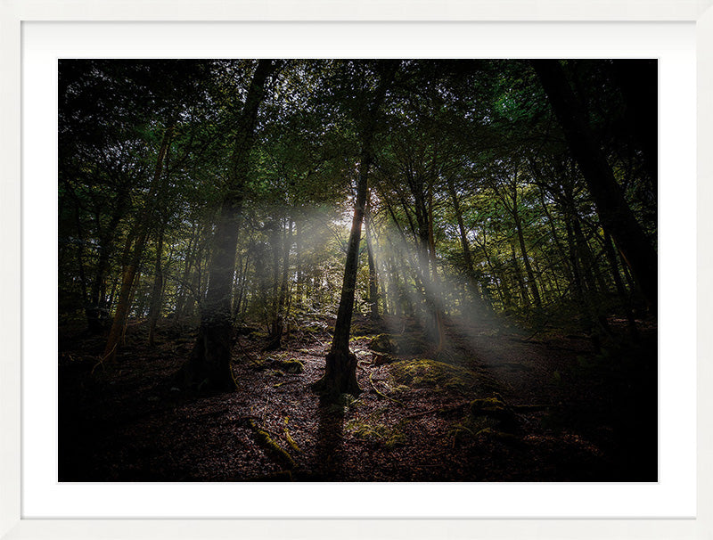 The Clearing Light — Wye Valley